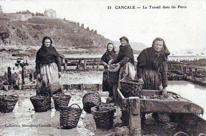 huitres_travail-dans-les-parcs_01.jpg
