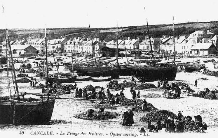 huitres_triage_07.jpg