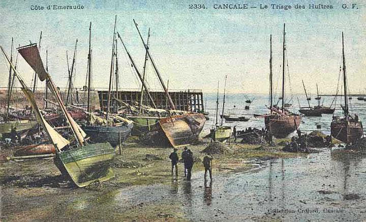huitres_triage_10.jpg