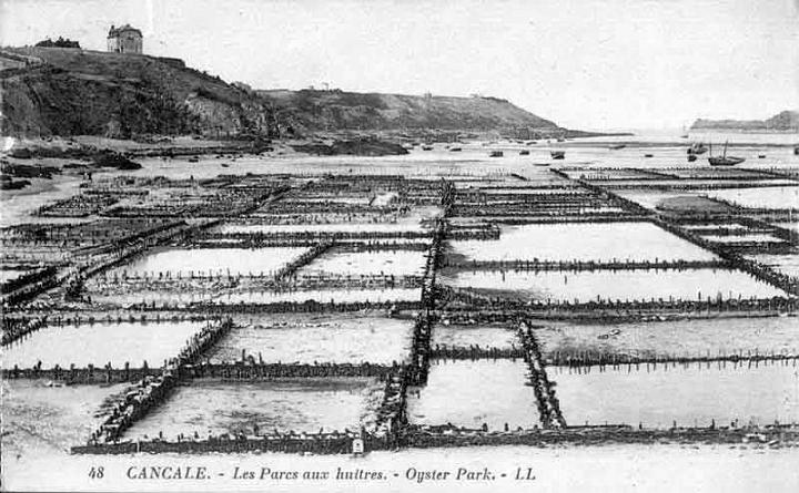 parcs-a-huitres_03.jpg