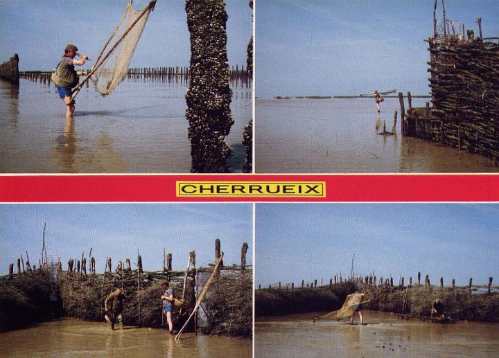 cherrueix_peche-a-la-crevette_10.jpg