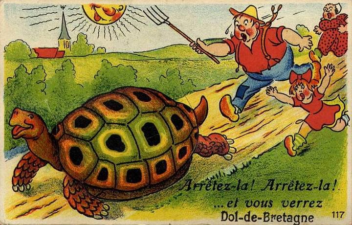 Dol_carte-systeme_tortue.jpg