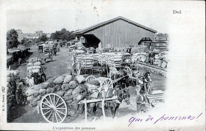 dol_agriculture_01.jpg