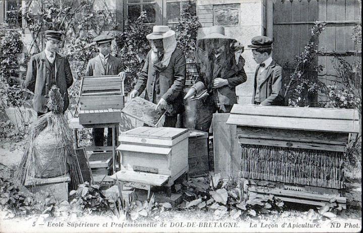 dol_ecoles_eps-epi_lecon-apiculture.jpg