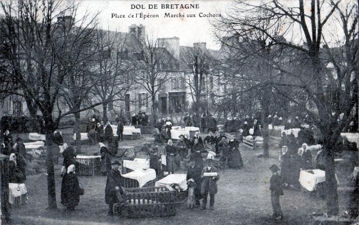 dol_marches_porcs_04.jpg