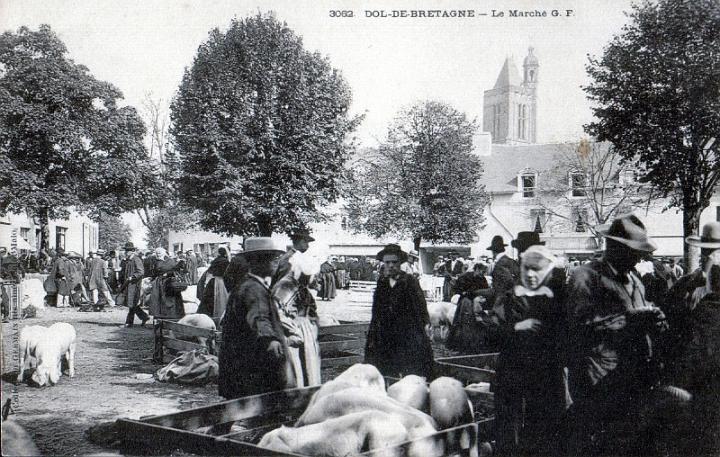 dol_marches_porcs_07.jpg