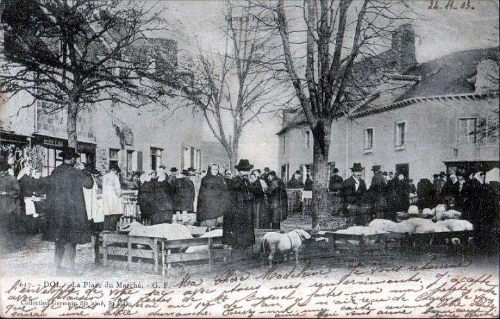 dol_marches_porcs_08.jpg