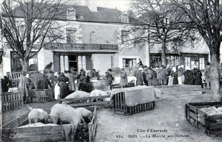 dol_marches_porcs_09.jpg