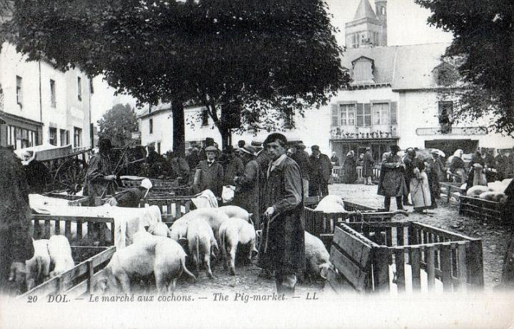 dol_marches_porcs_12.jpg
