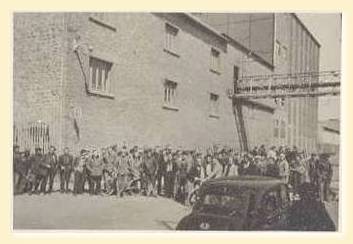 dol_usine-delplace_greve_1954.jpg