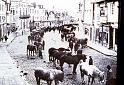 dol_grande-rue_occupation_requisition-chevaux_