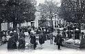 dol_marches_porcs_01