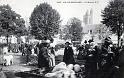 dol_marches_porcs_07