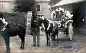 dol_vie_cavalcade_10