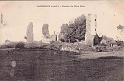 lanhelin_ruines-bois-hue_drolon