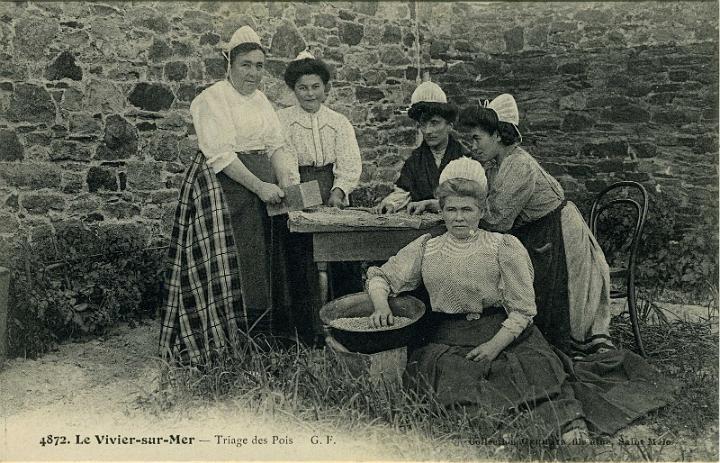 Le_Vivier_Triage-des-pois_GF_4872_.jpg