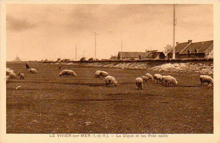 le-vivier_la-digue_pres-sales.jpg