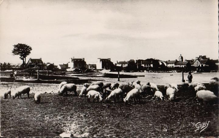 le-vivier_la-greve_01.JPG