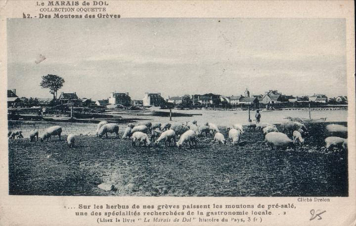 le-vivier_la-greve_02.jpg