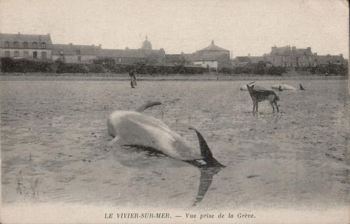 le-vivier_la-greve_06.jpg