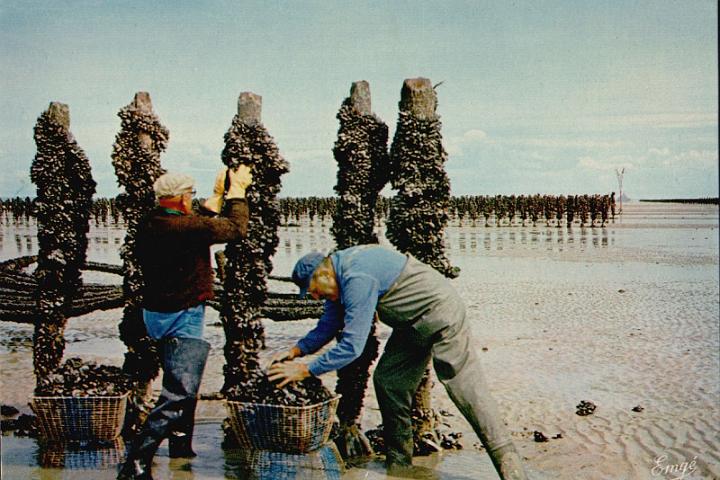 le-vivier_la-peche_08.jpg