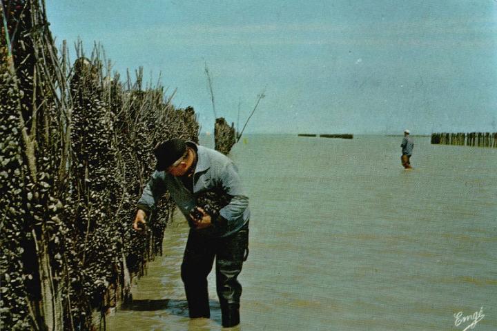 le-vivier_la-peche_09.jpg