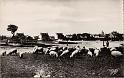 le-vivier_la-greve_01