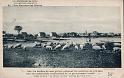 le-vivier_la-greve_02