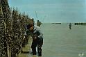 le-vivier_la-peche_09