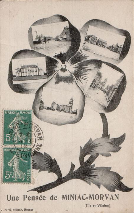 miniac-morvan_pensee.jpg