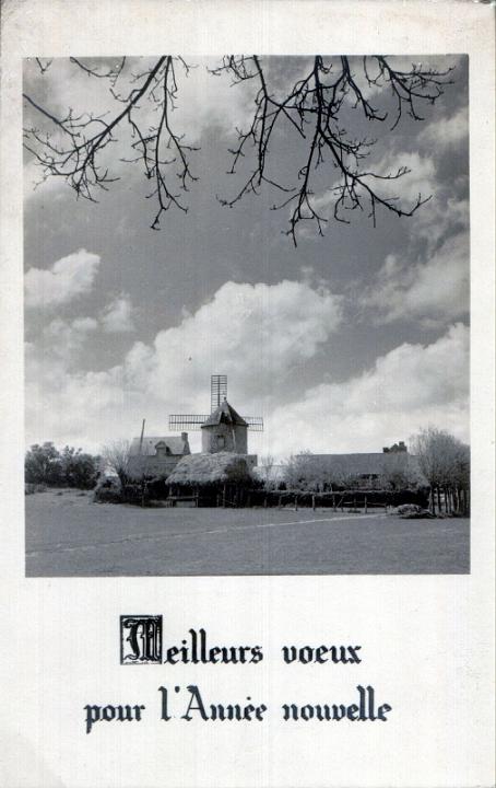 mont-dol_moulin-voeux.jpg