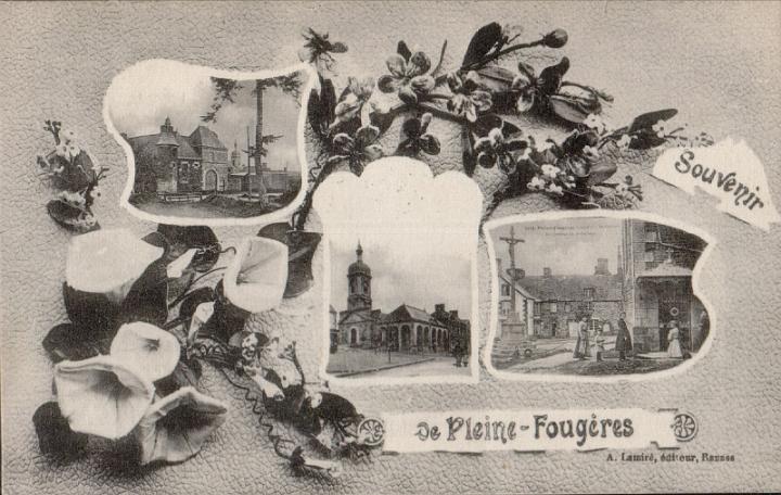 pleine-fougeres_bonjour_pensee_04.jpg