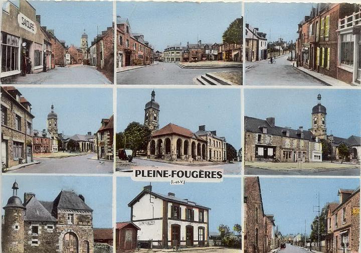 pleine-fougeres_multi-vues.jpg