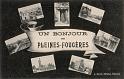 pleine-fougeres_bonjour_pensee_03