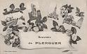 plerguer_souvenir