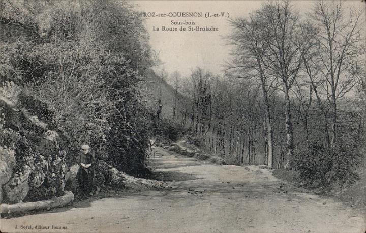 roz-sur-couesnon_sous-bois.jpg