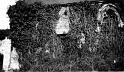 roz-sur-couesnon_La-Rue_chapelle_01