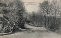 roz-sur-couesnon_sous-bois
