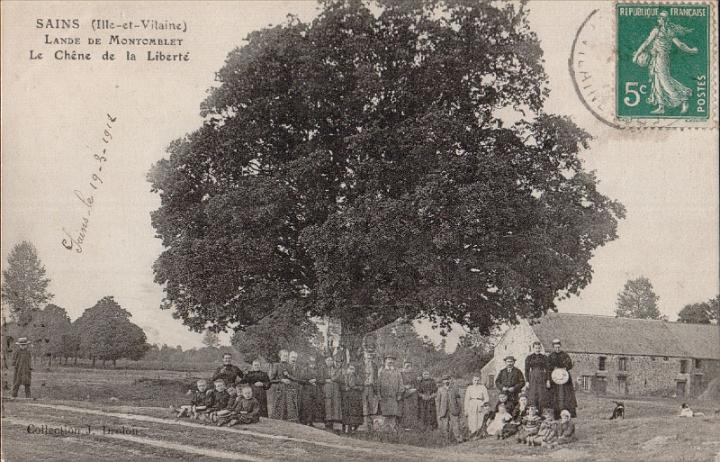 sains_lande-de-montomblet_le-chene_drolon.jpg