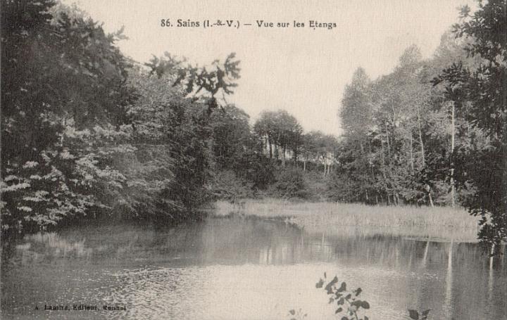 sains_vue-sur-les-etangs_lamire-86.jpg