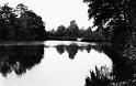 Sains_etang-du-pissot