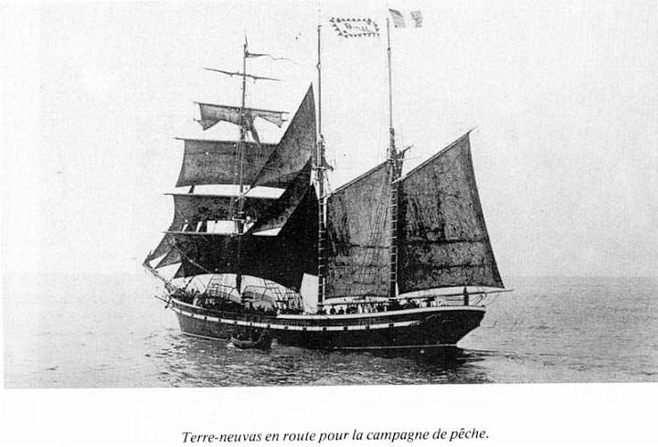 terre-neuva_06.jpg