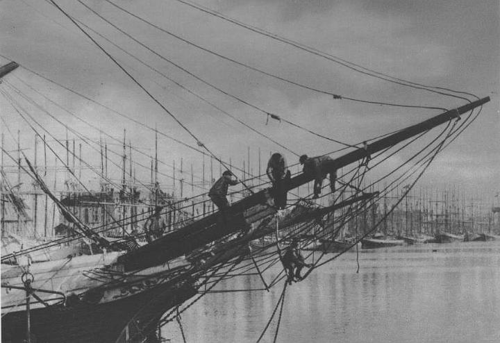 terre-neuva_saint-malo_beaupre.JPG