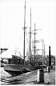 Terre-Neuve_02