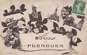 plerguer